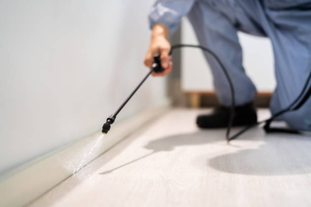 Licensed Termite Control service in Alabaster, AL - Nex Pest Control