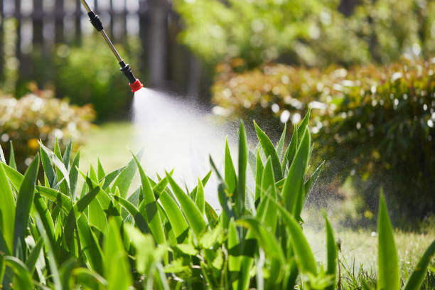24/7 Emergency Termite Control experts in Alabaster, AL